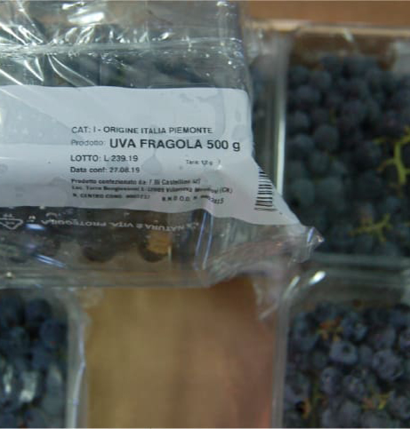 Lady Froly uva fragola origine Italia Piemonte 